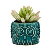 Premier Home Fiori Small Succulent Blue Owl Pot (2907020)