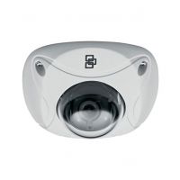 TruVision Vandal IP Dome Camera (TVD-N210W-4-P)