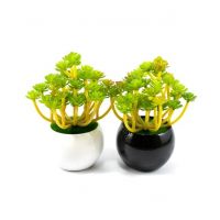 ZS Store Artificial Plant & Pots Ceramic For Home Decoration - Pack of 2