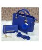 Charming Closet Hand Bag With Clutch (0061)