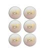 Asaan Buy T-20 Cricket Hard Ball White Pack Of 6 (SP-568)