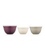 Premier Home Storage Bowls With Clear Lids – Set Of 3 (1209745)