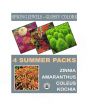 DIY Store Summer Flower Seeds Pack of 4 (0042)