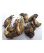Diy Store Tuberose Bulbs Double Flowers Scented Pack Of 10