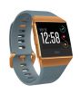 Fitbit Ionic Smartwatch Slate Blue/Burnt Orange