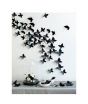 Global Traders Butterfly Wall Paper Style 16