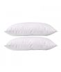 Muzamil Store Cotton Pillows White Pack of 2