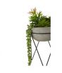 Premier Home Fiori Mixed Succulent Plant With Metal Stand (2907049)