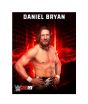WWE 2K19 Game For PS4