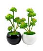 ZS Store Artificial Plant & Pots Ceramic - Pack of 2 (0009)