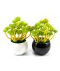 ZS Store Artificial Plant & Pots Ceramic For Home Decoration - Pack of 2