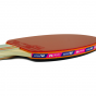Favy Sports Butterfly Wakaba 3000 Table Tennis Racket