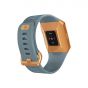 Fitbit Ionic Smartwatch Slate Blue/Burnt Orange